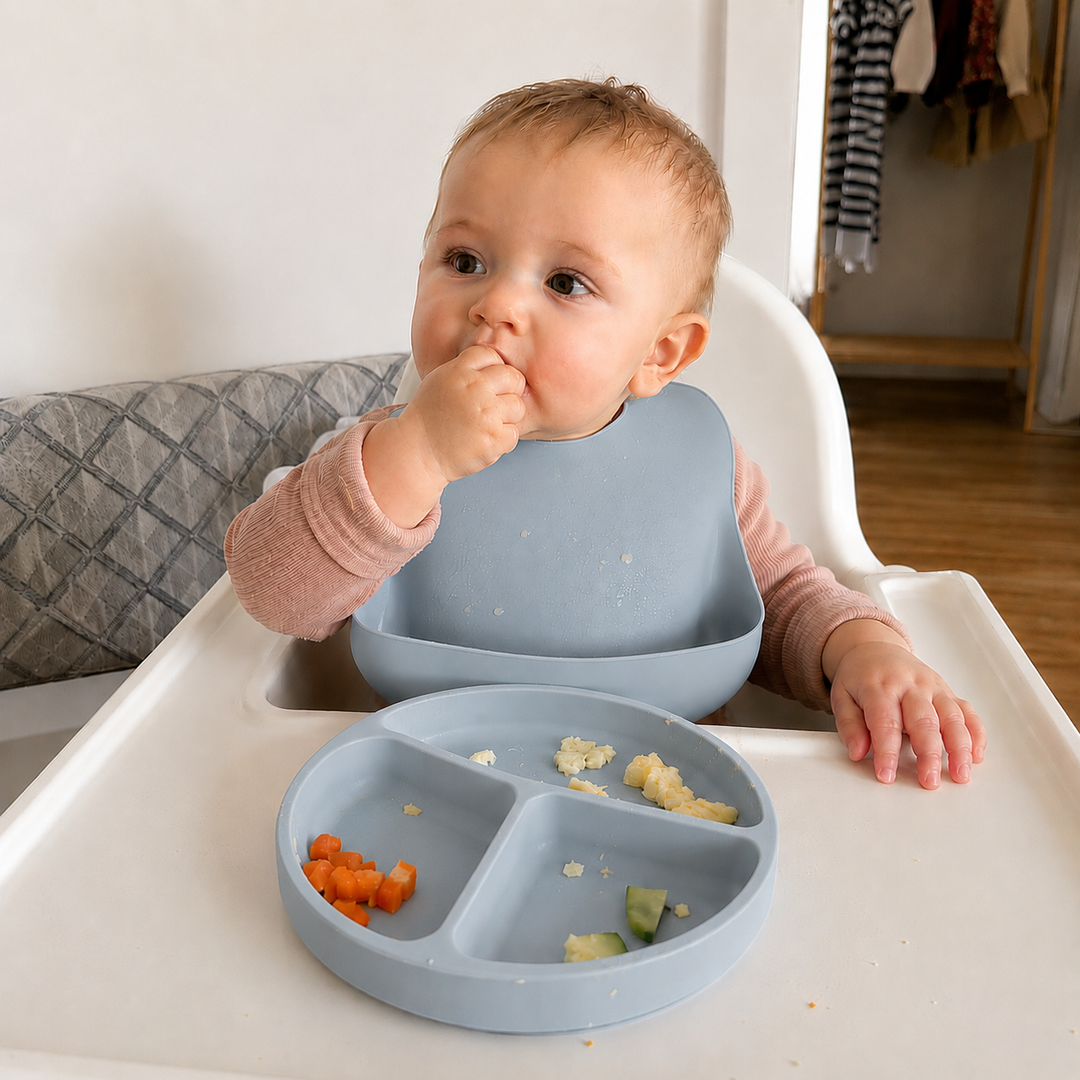Classic Silicone Suction Plate Set
