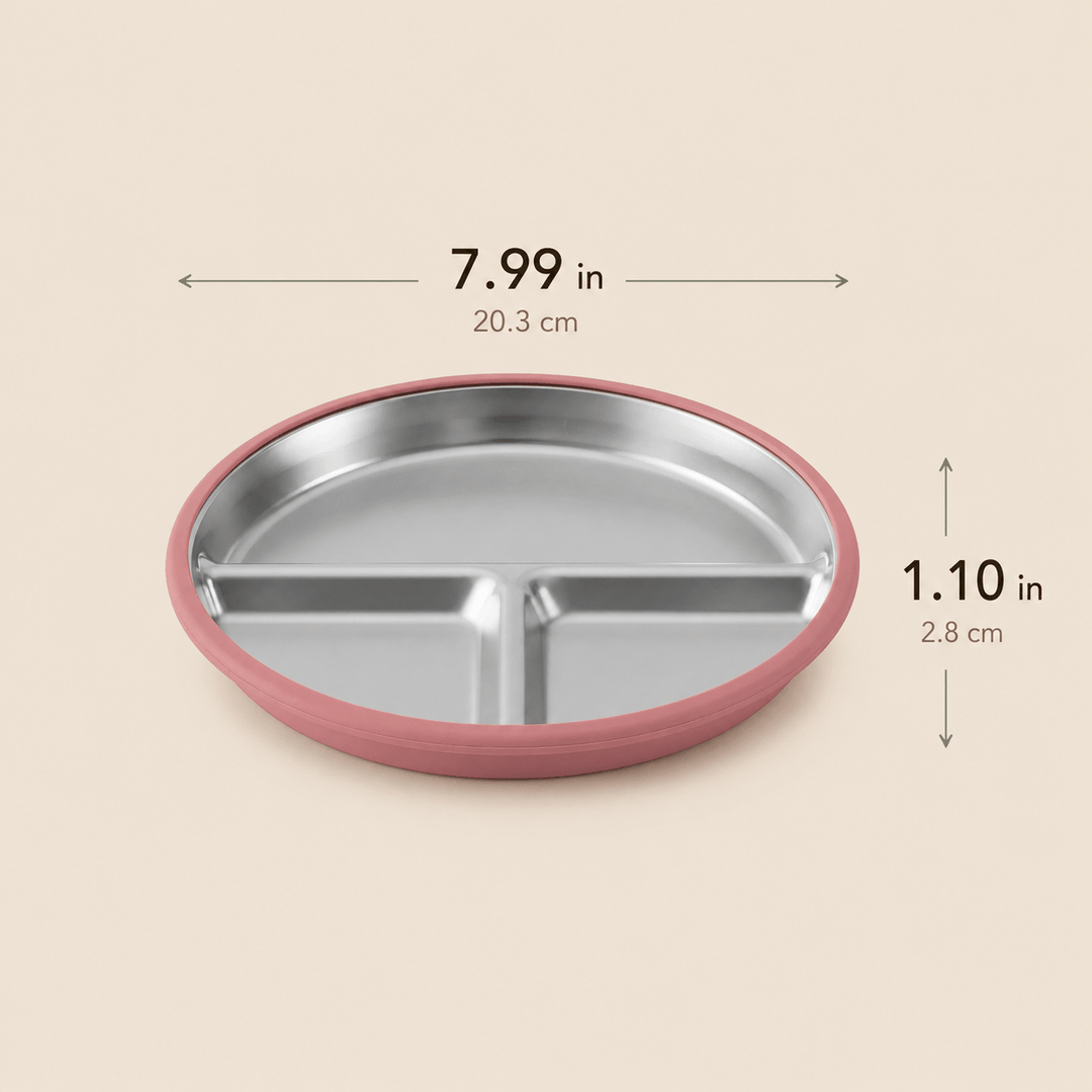 Classic Stainless Steel Suction Plate Set
