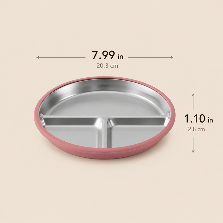 Classic Stainless Steel Suction Plate Set
