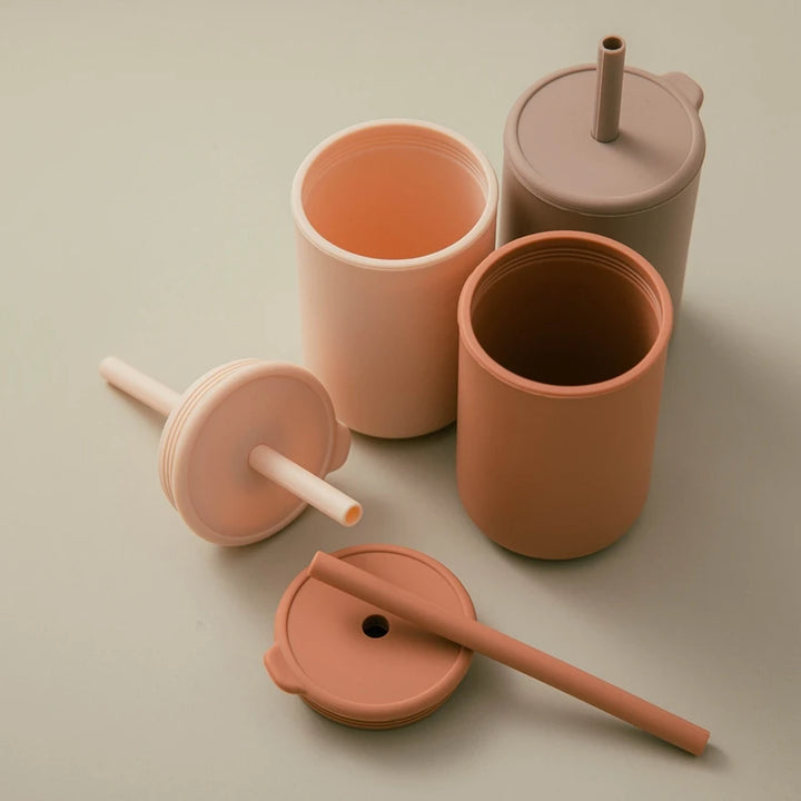 Fresh Silicone Straw Training Cup