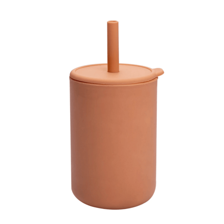 Fresh Silicone Straw Training Cup