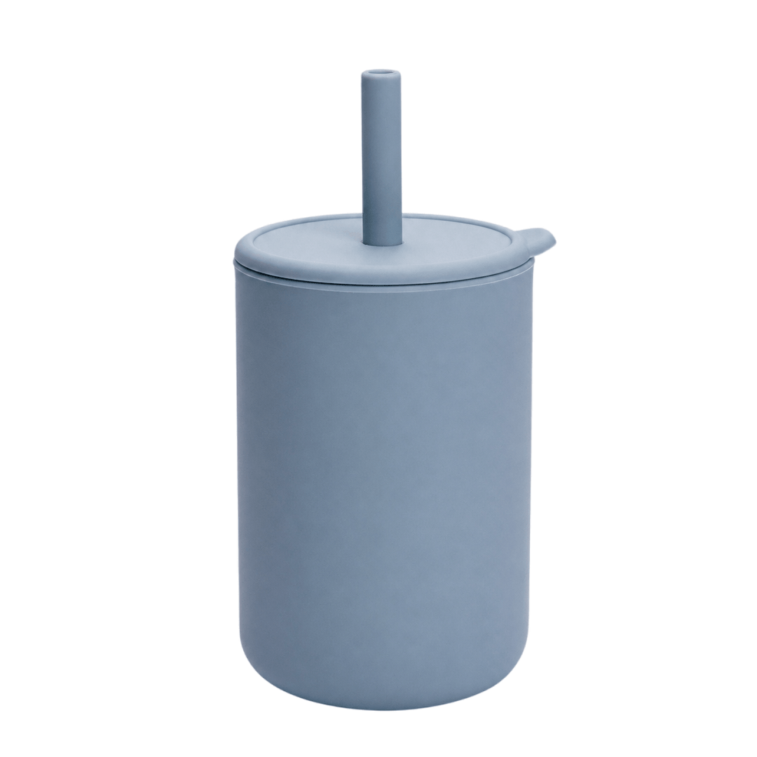 Fresh Silicone Straw Training Cup