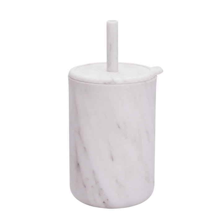 Fresh Silicone Straw Training Cup